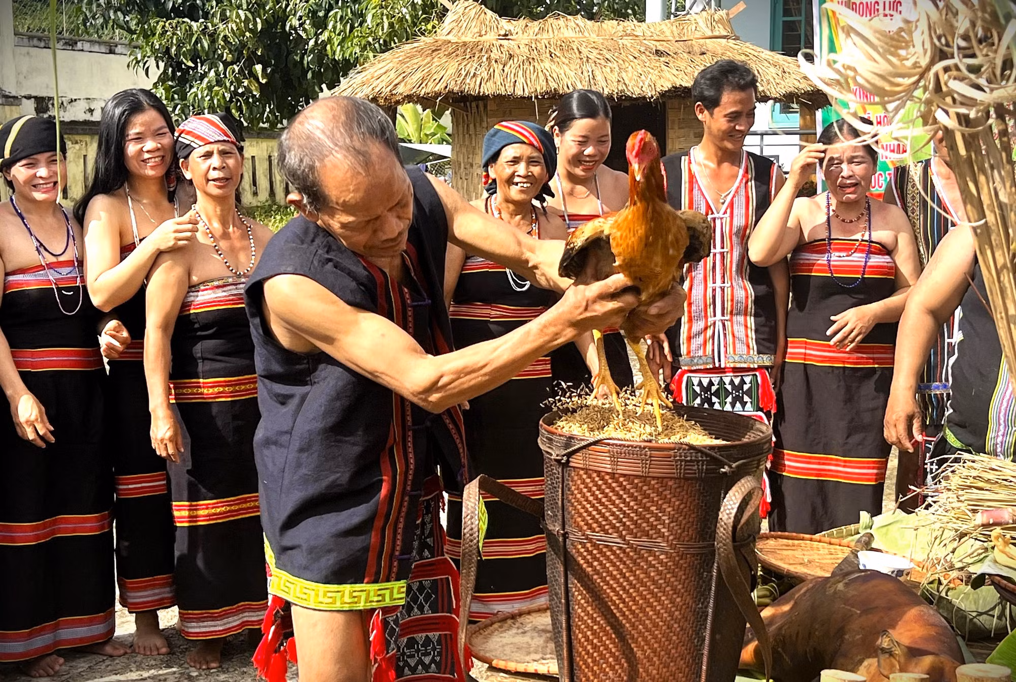 Ảnh lúa mới 5.jpg