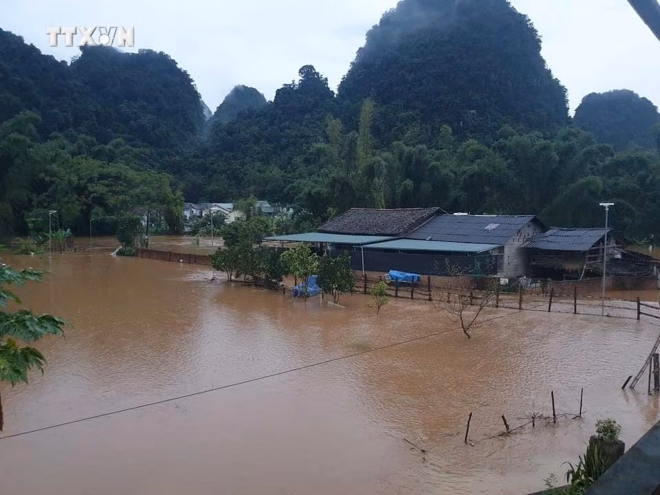 vna_potal_cao_bang_mua_to_lam_ngap_ung_cuc_bo_sat_lo_dat_7532477.jpeg
