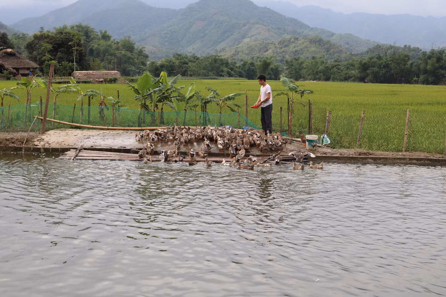 14-xa Nghia Do-Bao Yen-Lao Cai-Huong Thu.JPG