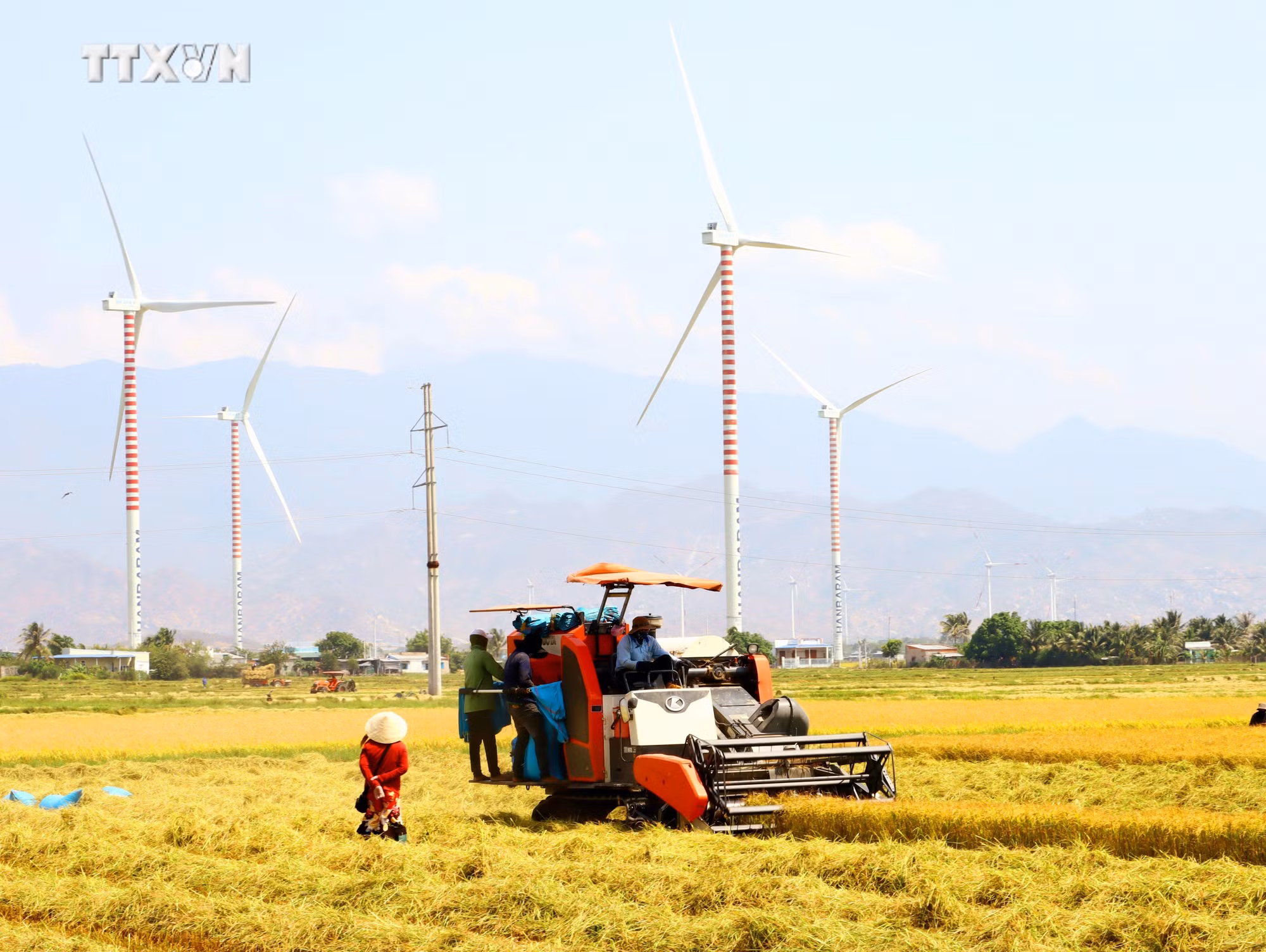 vna_potal_ninh_thuan_huy_dong_nguon_luc_thuc_hien_muc_tieu_giam_ngheo_nhanh_va_ben_vung_7326560.jpg