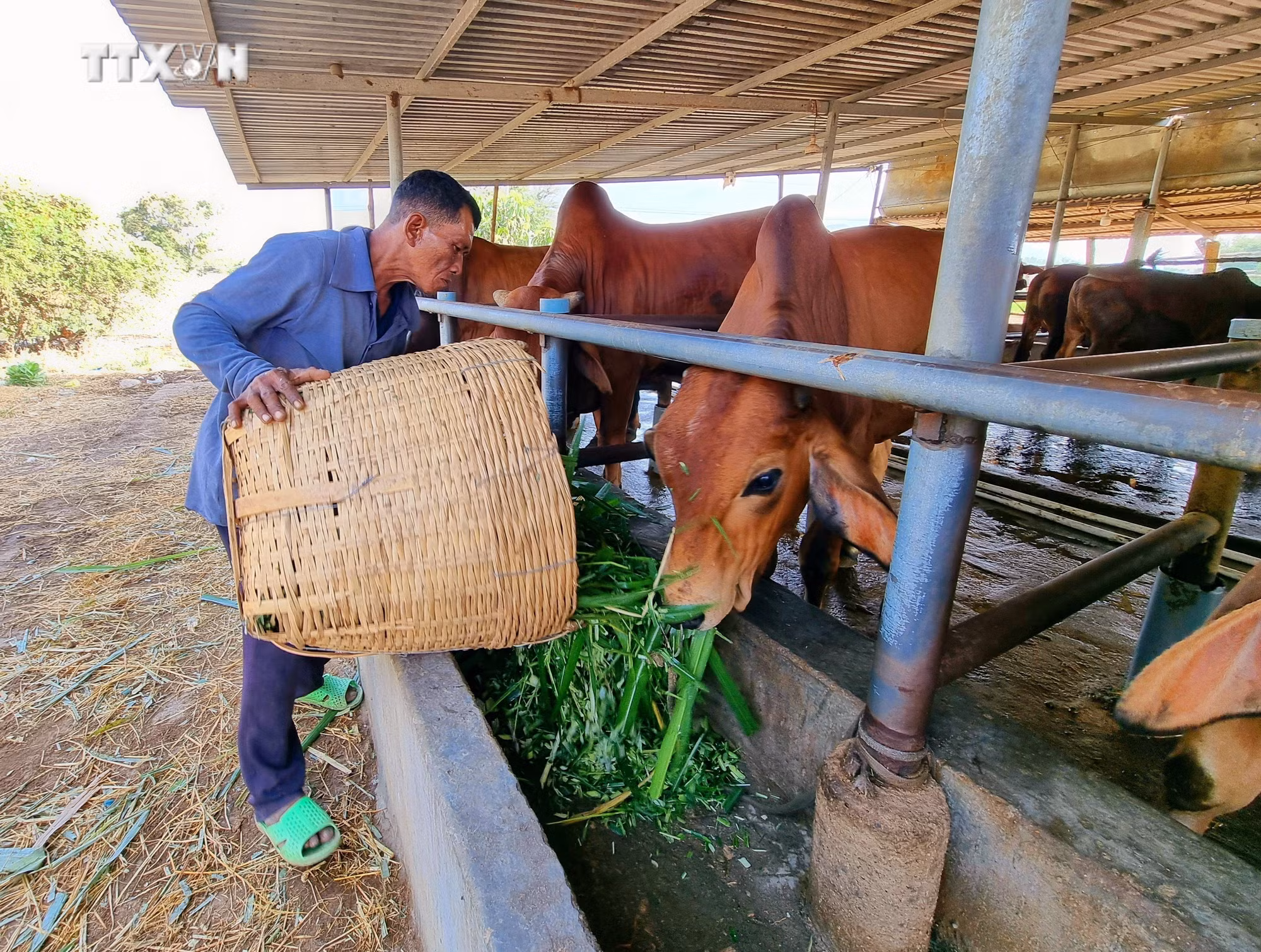 vna_potal_ninh_thuan_huy_dong_nguon_luc_thuc_hien_muc_tieu_giam_ngheo_nhanh_va_ben_vung_7326577.jpg