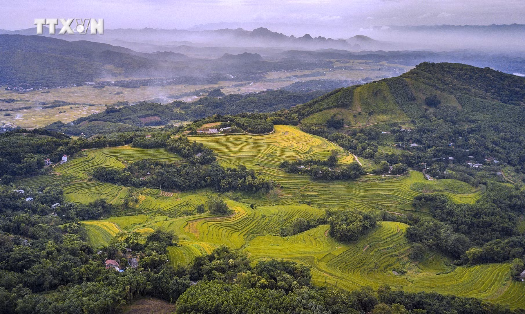 vna_potal_hoa_binh_mua_lua_chin_tren_nhung_thua_ruong_bac_thang_mien_doi__7439443.jpg