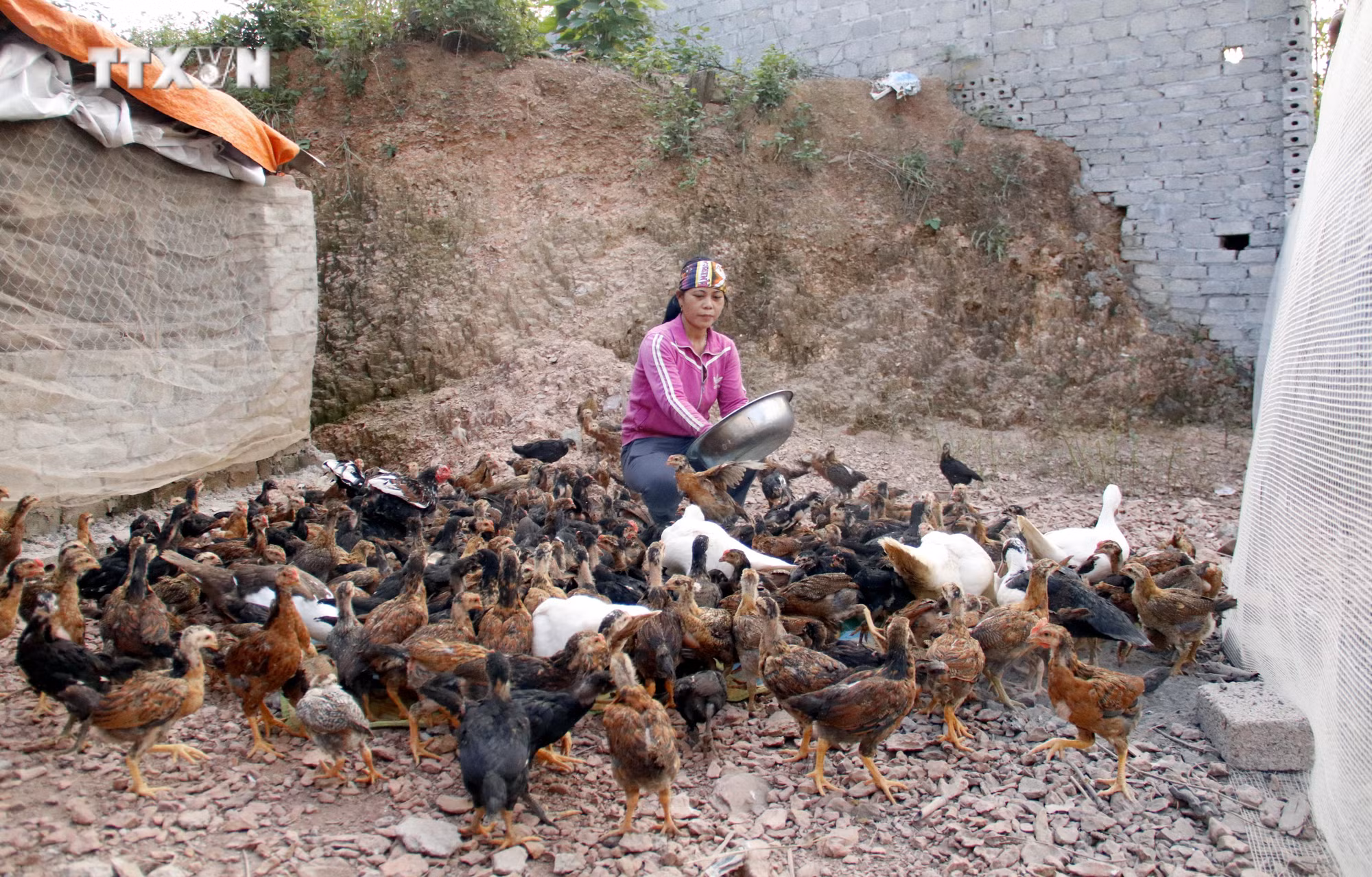 vna_potal_hieu_qua_trong_cong_tac_xoa_ngheo_ben_vung_tai_bac_giang_7656639.jpg