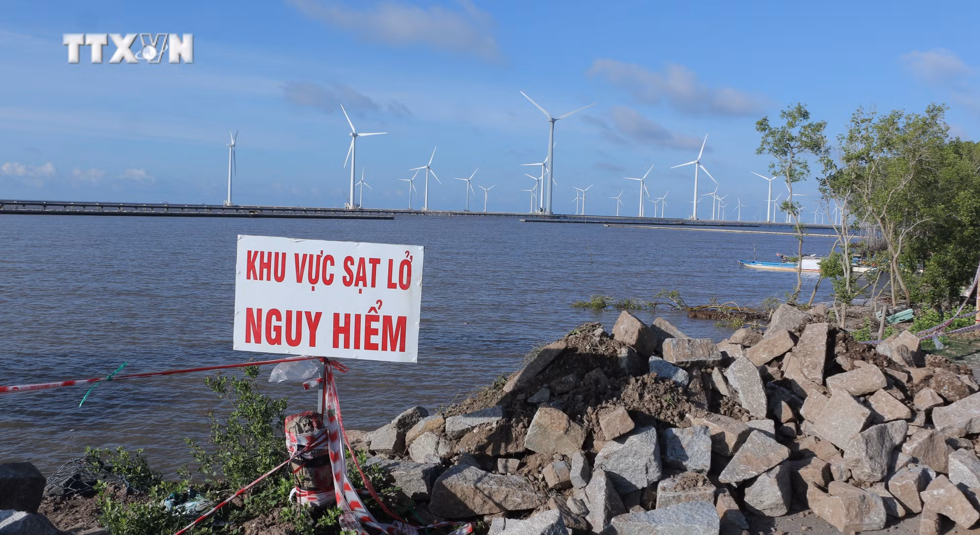 vna_potal_bac_lieu_trong_rung_gop_phan_ung_pho_voi_bien_doi_khi_hau_7630286.jpg