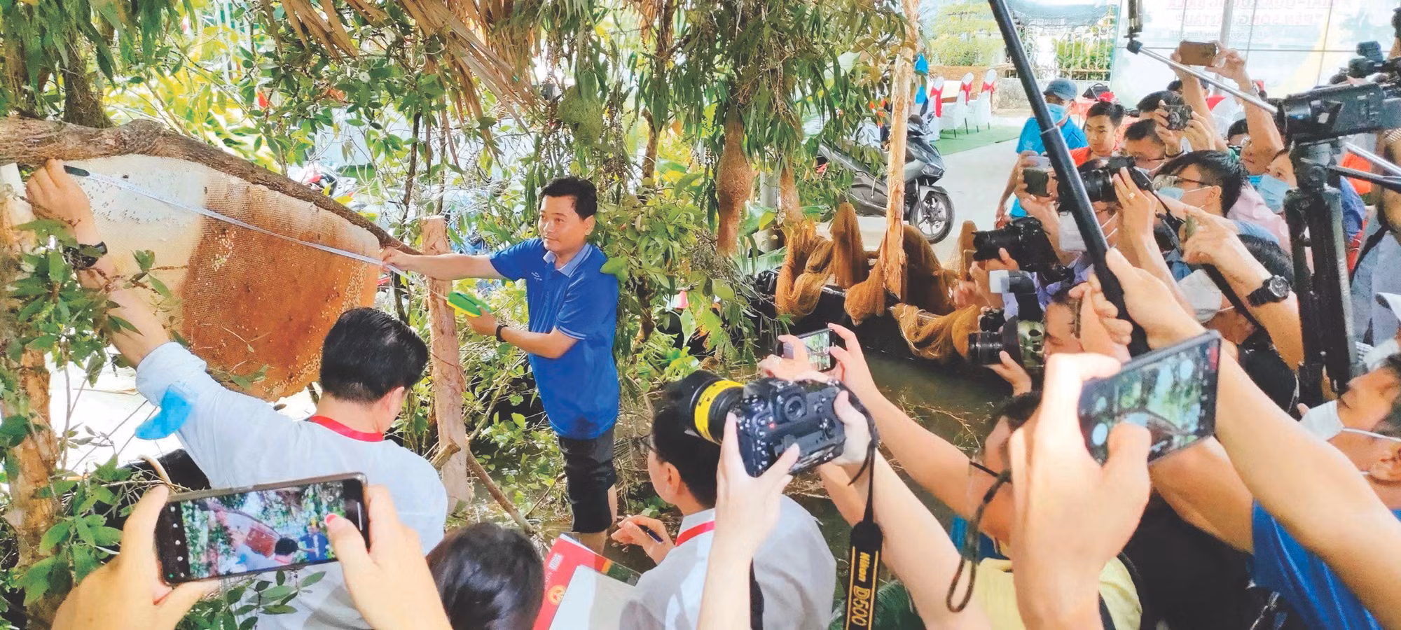 loanphuong1.jpg
