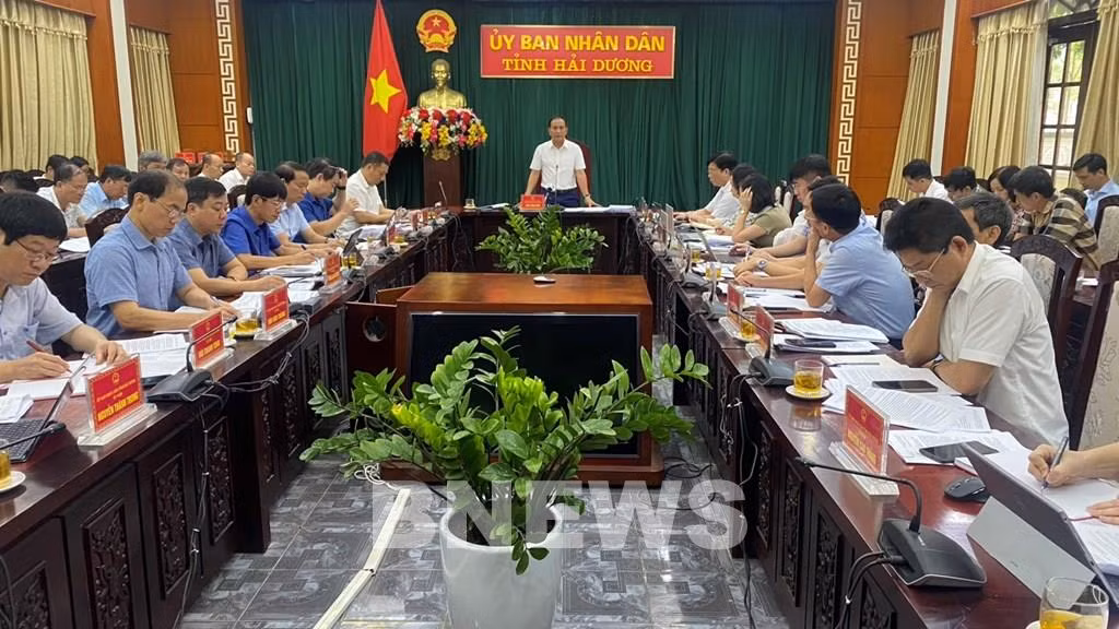 Hai dương.jpg