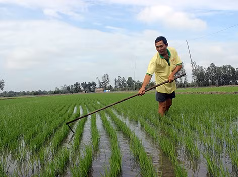 Xây dựng nông thôn mới ở Thuận Hòa