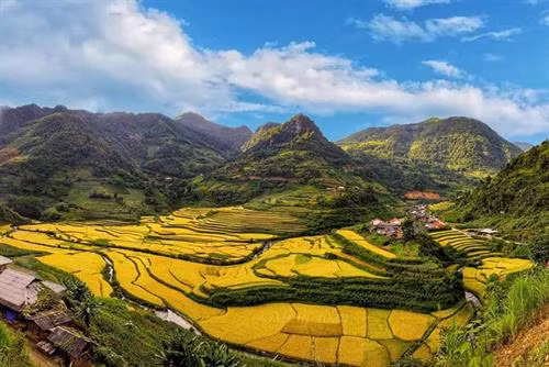 Lễ thu hồn vía cho lúa của người Tày