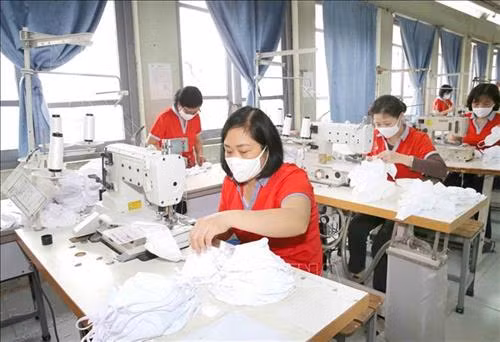 Việt Nam có thể trở thành một quốc gia sản xuất khẩu trang vải lớn trên thế giới