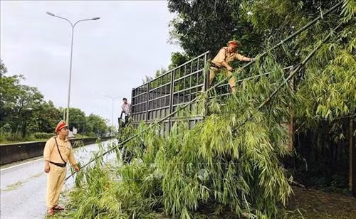 Lốc xoáy làm tốc mái hàng chục ngôi nhà tại Quảng Nam
