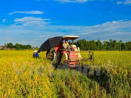 Giảm thiệt hại do thời tiết bất lợi và sâu bệnh gây ra