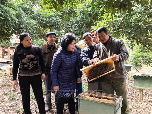 Nữ kỹ sư Hoàng Thị Bình gắn bó với đồng bào dân tộc Nùng