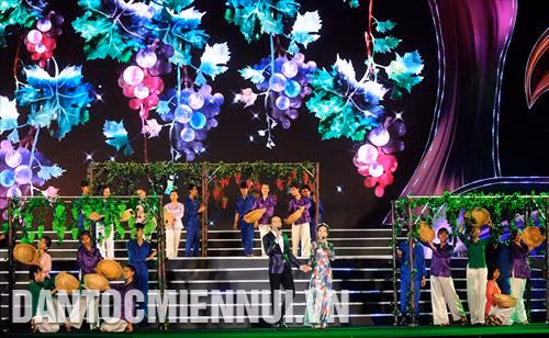 Nhiều hoạt động đặc sắc tại Lễ hội nho và vang Ninh Thuận 2019