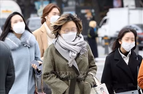 Khẩu trang y tế có giúp phòng ngừa viêm phổi do virus corona hiệu quả hay không?