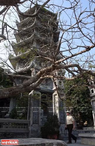 Du ngoạn Ngũ Hành Sơn