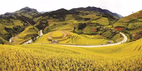 Kỳ vĩ ruộng bậc thang