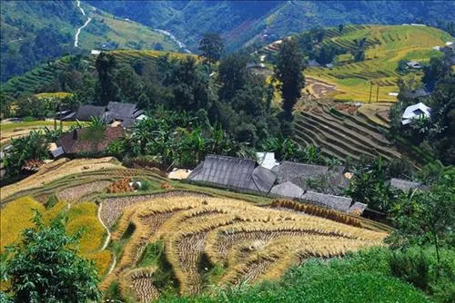 Du lịch góp phần đưa nông thôn trở thành những "miền quê đáng sống"
