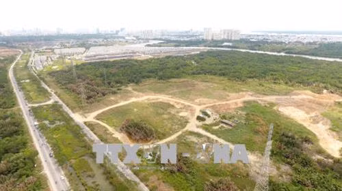 Tạm đình chỉ chức vụ Tổng Giám đốc Công ty Tân Thuận
