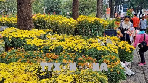 Thành phố Hồ Chí Minh tổ chức Hội hoa xuân Mậu Tuất 2018