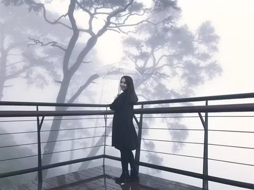 Ngỡ ngàng "đưa tay vờn mây" ở Tam Đảo