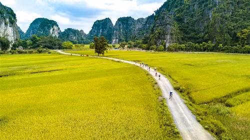 Mùa vàng đẹp như tranh ở Tam Cốc