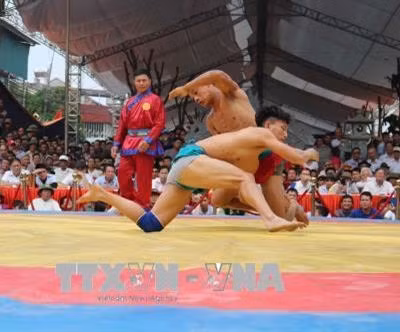 Bảo tồn và phát triển vật dân tộc gặp nhiều khó khăn