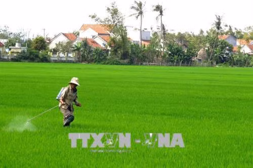 Thuốc bảo vệ thực vật như dao hai lưỡi