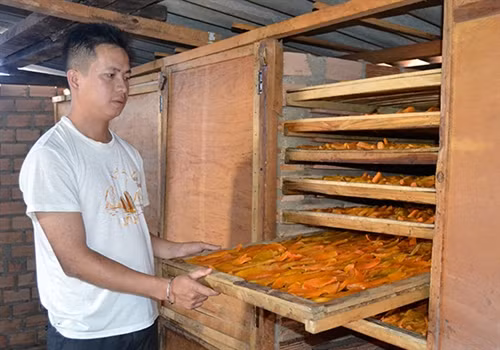 Khoai lang mật Đà Lạt: Từ nông trại tới bàn ăn