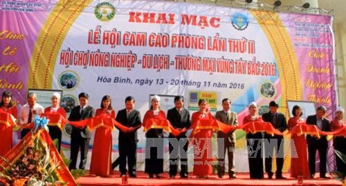 Khai mạc lễ hội cam Cao Phong lần thứ 2