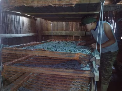 Đổi thay trên một dải biên giới