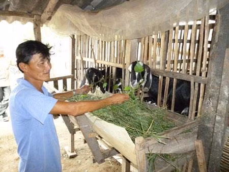 Tăng cường năng lực ứng phó và thích nghi cho người dân vùng ven biển ở Bến Tre