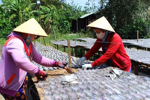 Nghề làm cá khô bổi ở Cà Mau