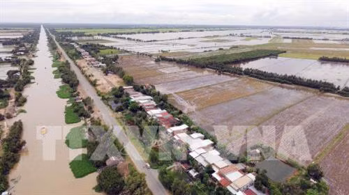 Nông dân Long An có thêm thu nhập từ mùa nước nổi
