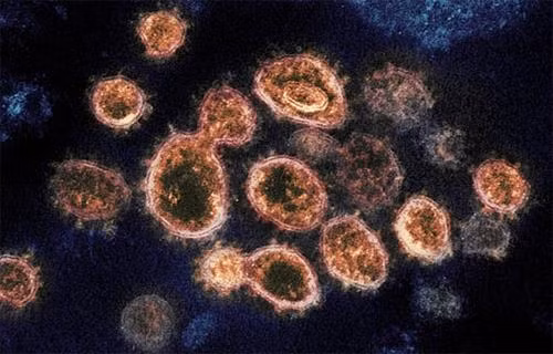 Dịch viêm đường hô hấp cấp COVID-19: Virus SARS-CoV-2 chủ yếu gây tổn thương phổi