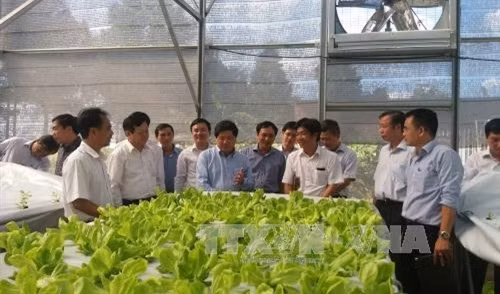 Chú trọng ứng dụng công nghệ để phát triển bền vững