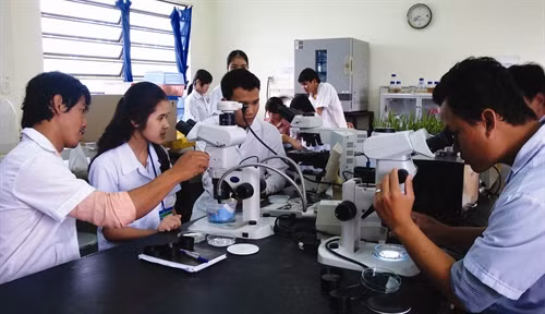 Sửa đổi quy định đối tượng cử tuyển