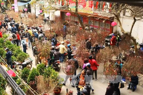 Chợ hoa Tết phố Hàng Lược