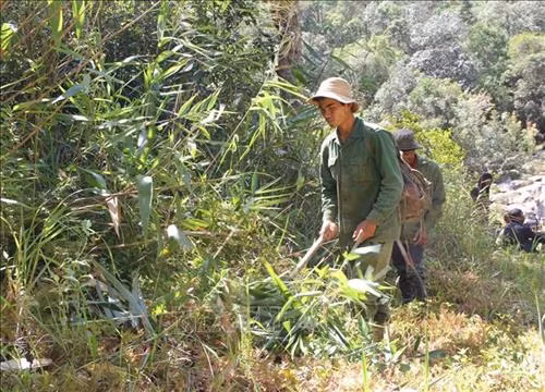 Đắk Lắk chủ động phòng chống cháy rừng mùa khô