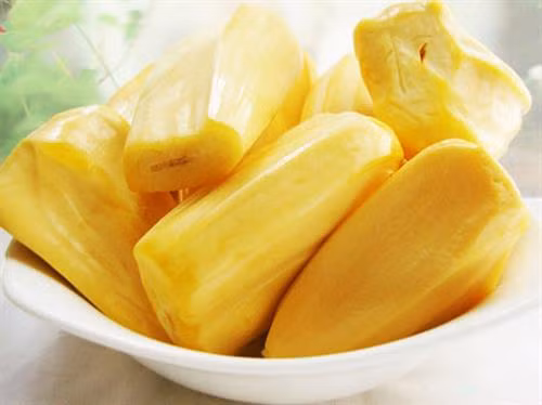 Kỹ thuật trồng mít không hạt năng suất cao