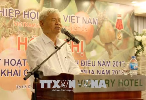 Doanh nghiệp điều tạm dừng nhập khẩu nguyên liệu do giá cao