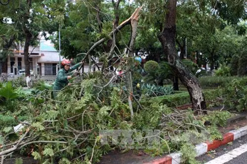 Hàng nghìn héc ta lúa và hoa màu thiệt hại do bão số 2