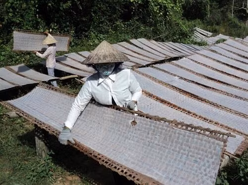 Trà Vinh hỗ trợ đào tạo nghề cho lao động nông thôn