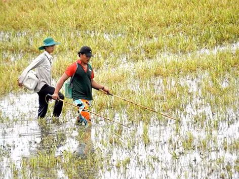 Hậu Giang: Khan hiếm nguồn thủy sản ngoài tự nhiên
