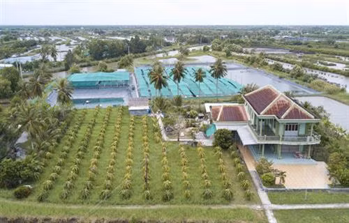 Cà Mau dồn sức xây dựng nông thôn mới