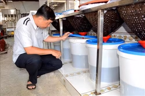 Làng biển Nam Ô – Nơi lưu giữ giá trị đất và người Đà Nẵng - Bài 2