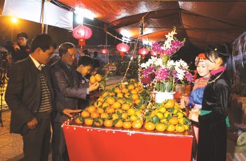 Phát huy thương hiệu cam sành Hàm Yên