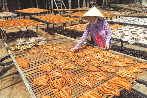 Nuôi cá bè đem lại thu nhập ổn định cho người dân ở Châu Đốc