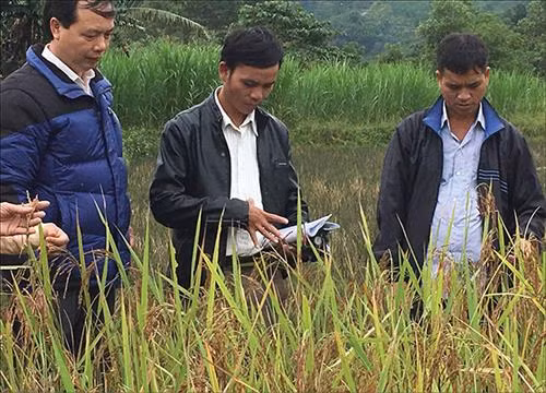 Xây dựng thương hiệu và tìm đầu ra cho các loại đặc sản miền núi