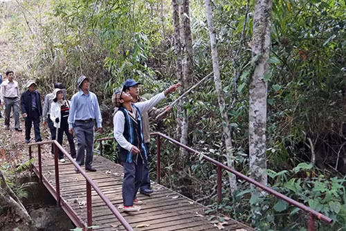 Người Cill giữ rừng