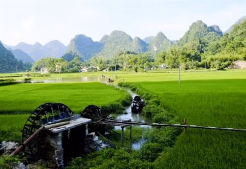 Cọn nước - nét văn hóa độc đáo miền non nước Cao Bằng